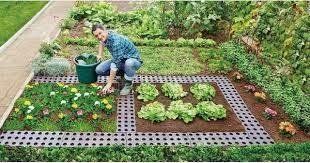 Садова доріжка комплект 4 шт Graf Maxi Garden (240400) 240400 фото